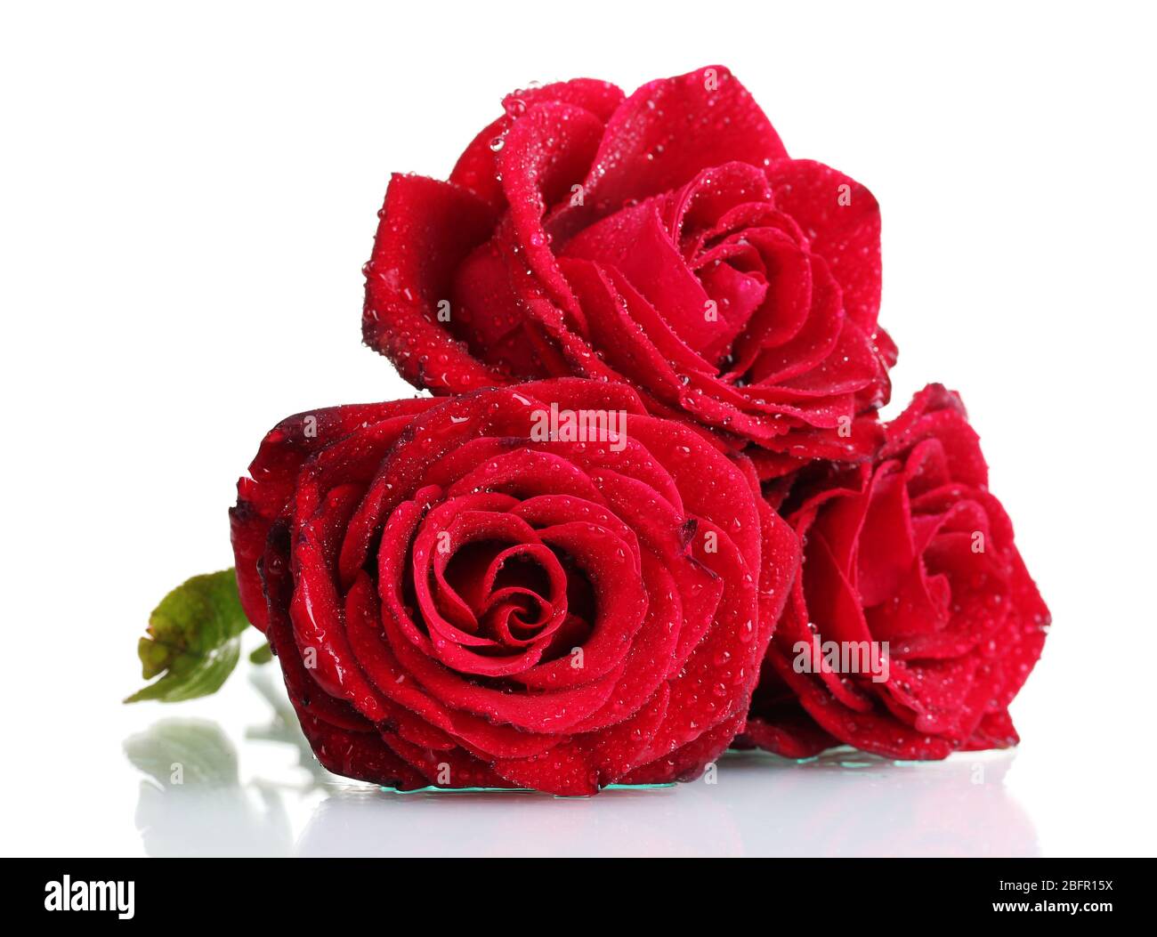 three beautiful red roses isolated on white Stock Photo - Alamy