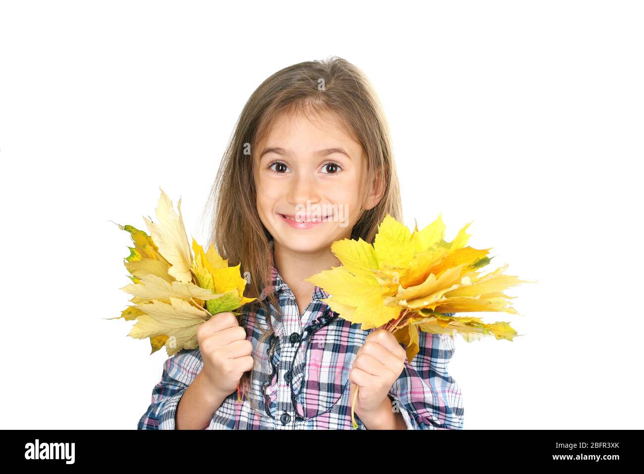 beautiful little girl and yellow maple leaves isolated on white Stock ...