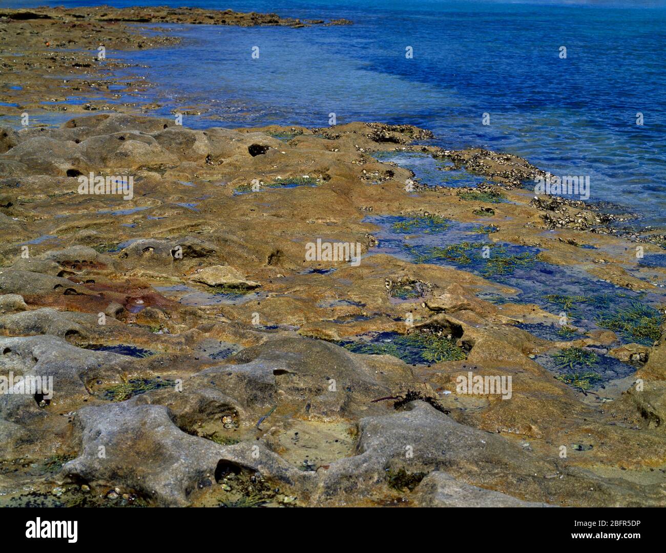 Sydney New South Wales Australia Botany Bay Stock Photo Alamy
