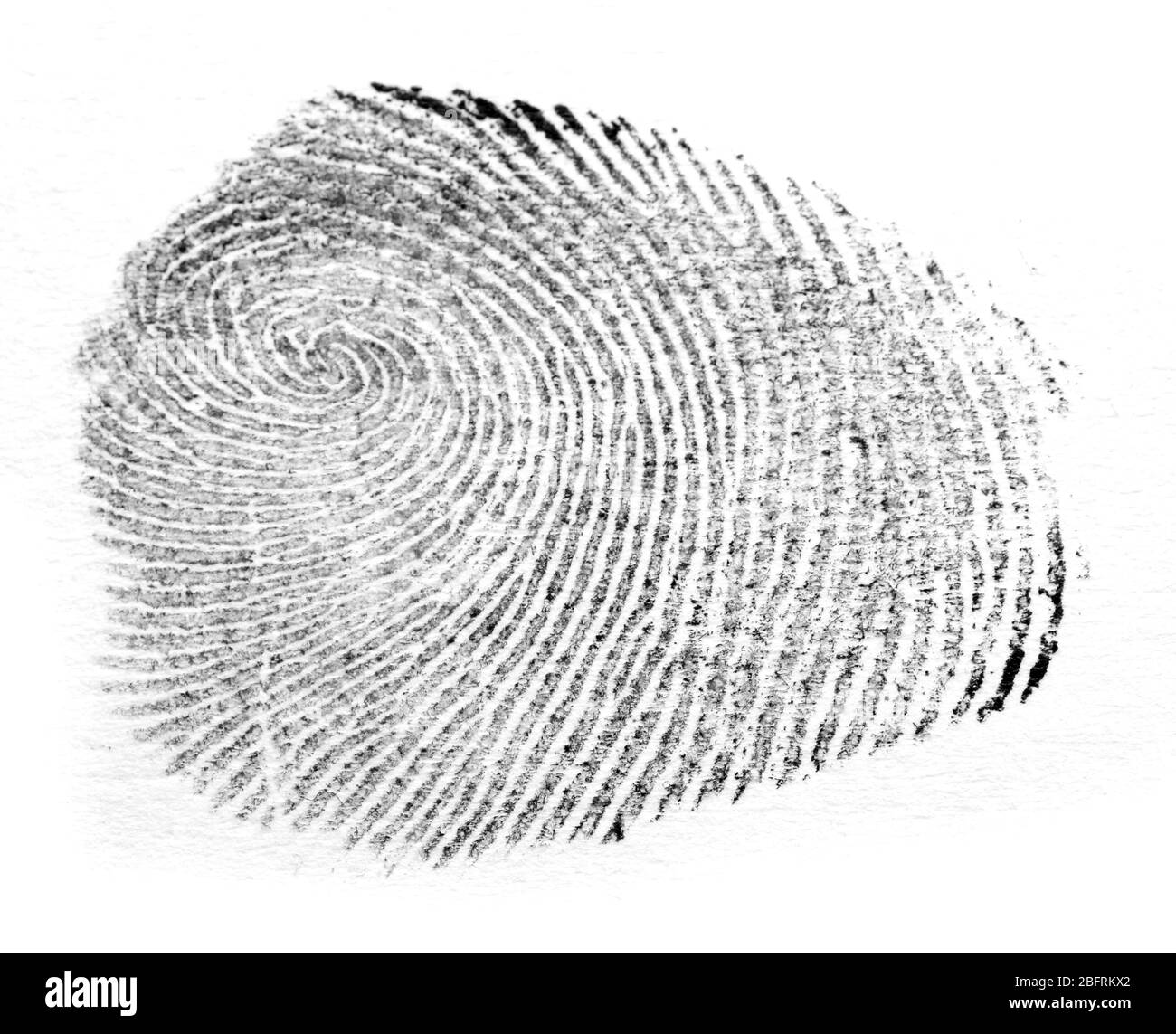 Fingerprint isolated on white Stock Photo