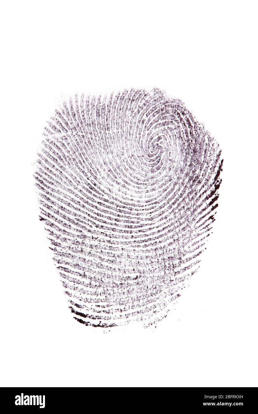 Fingerprint isolated on white stock photo alamy