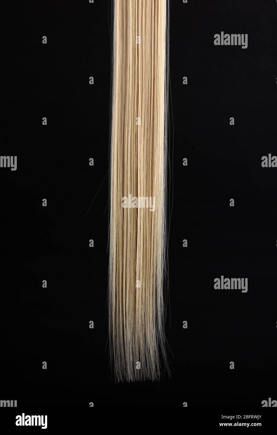 Shiny blond hair isolated on black Stock Photo