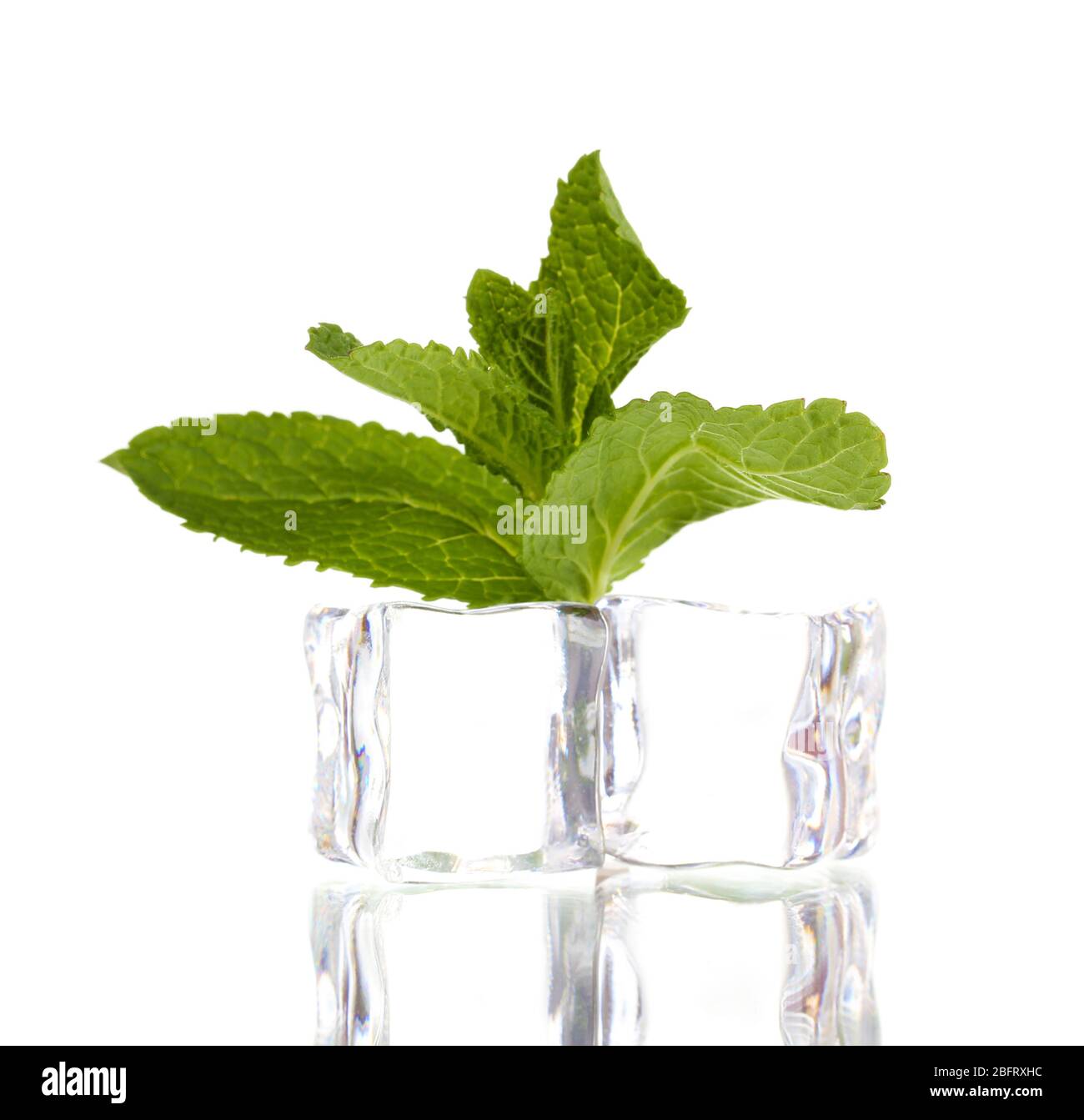 Fresh mint leaf and ice cubes isolated on white Stock Photo