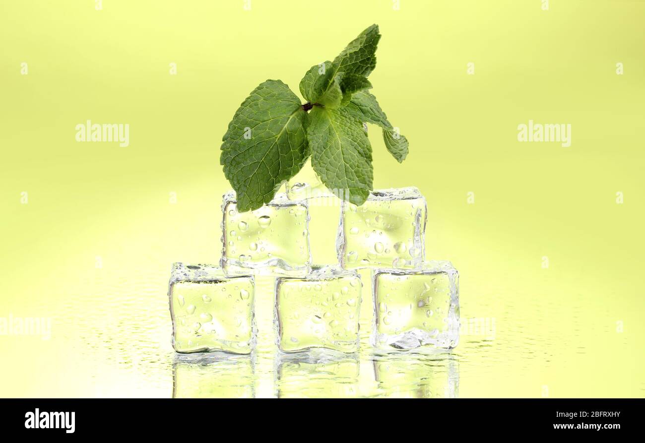 Fresh mint leaf and ice cubes with droplets on green background Stock Photo