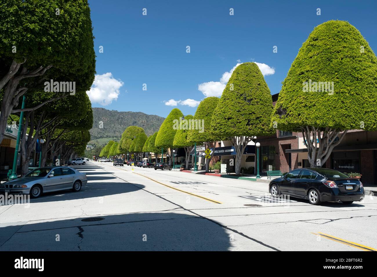 View looking towards the San Gabriel Mountains up Glendora Avenue lined