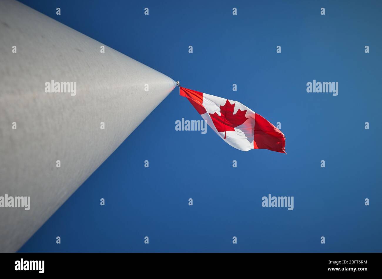 Photograph of Canadian flag flapping in the wind on a sunny day with vibrant blue sky view is looking up the flagpole Stock Photo