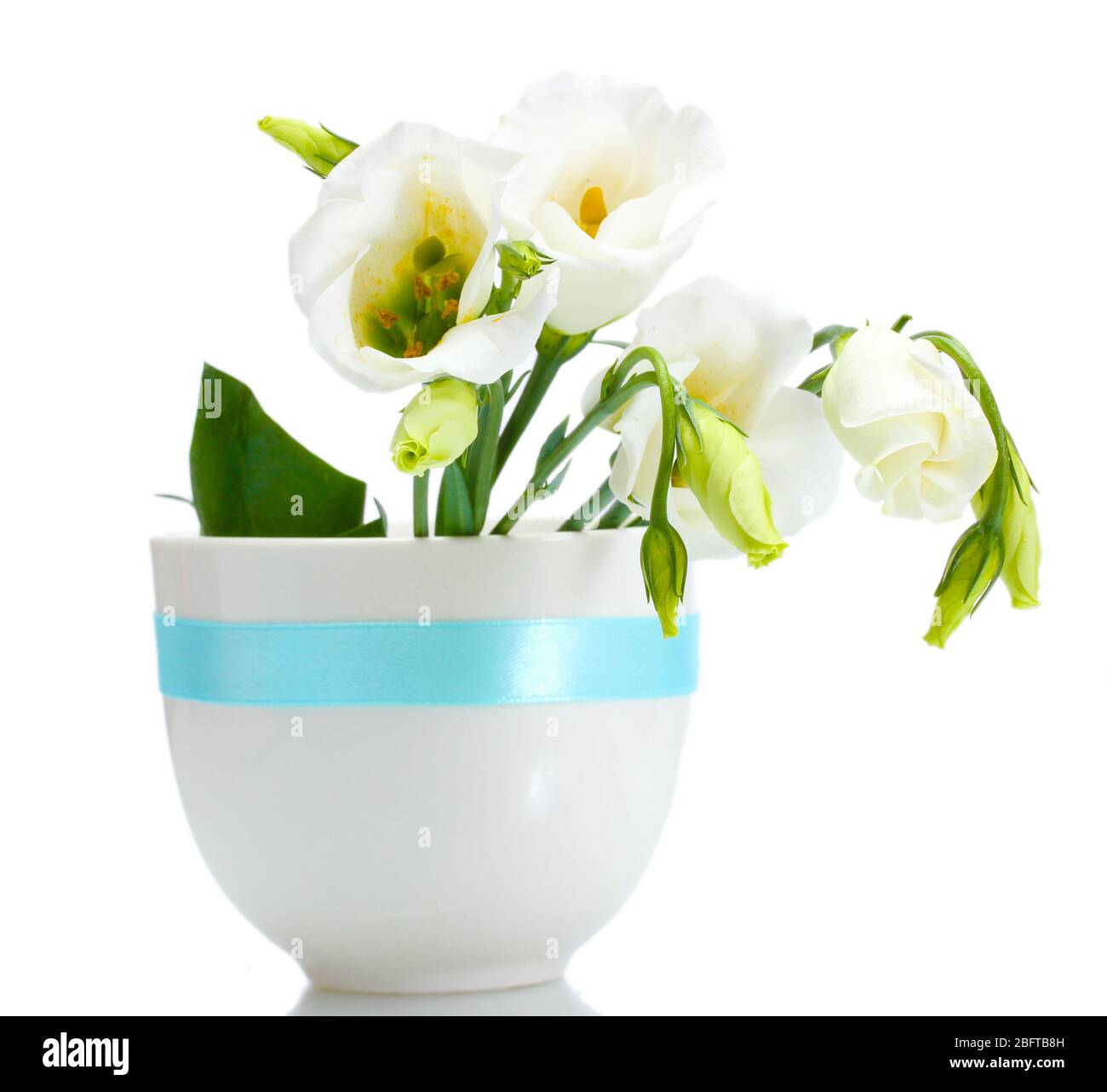 beautiful spring flowers in vase isolated on white Stock Photo