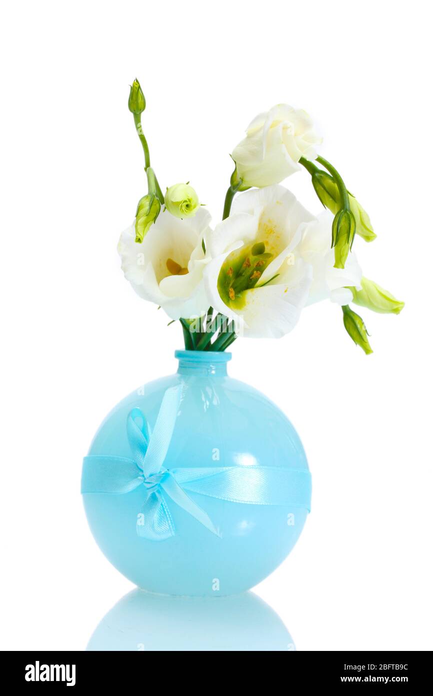 beautiful spring flowers in vase isolated on white Stock Photo