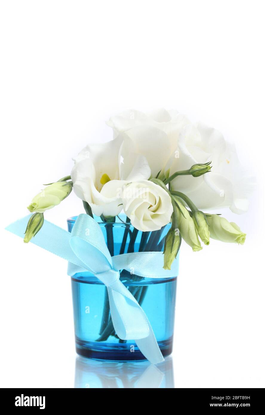 beautiful spring flowers in blue vase isolated on white Stock Photo