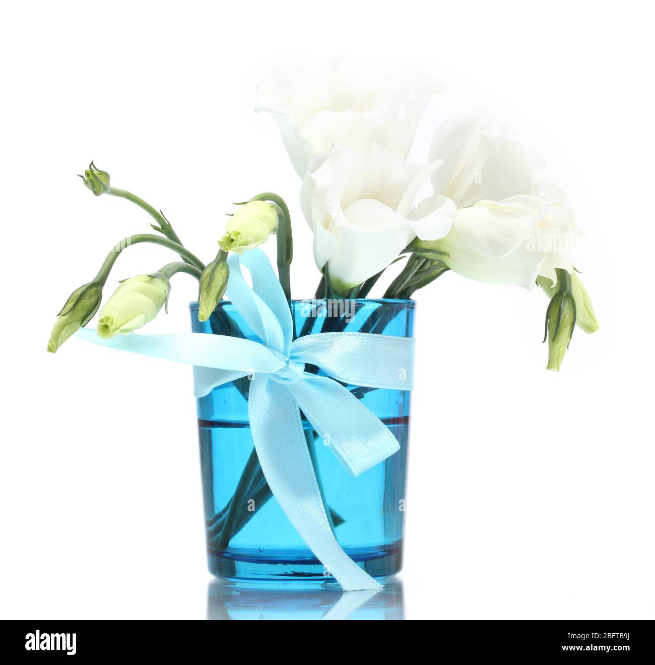 beautiful spring flowers in blue vase isolated on white Stock Photo