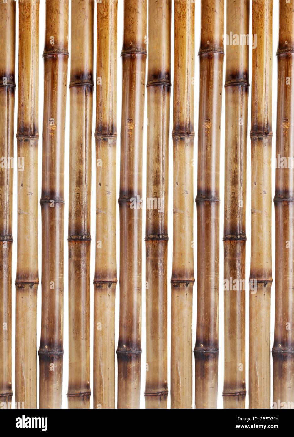 Bamboo stick isolated hi-res stock photography and images - Alamy