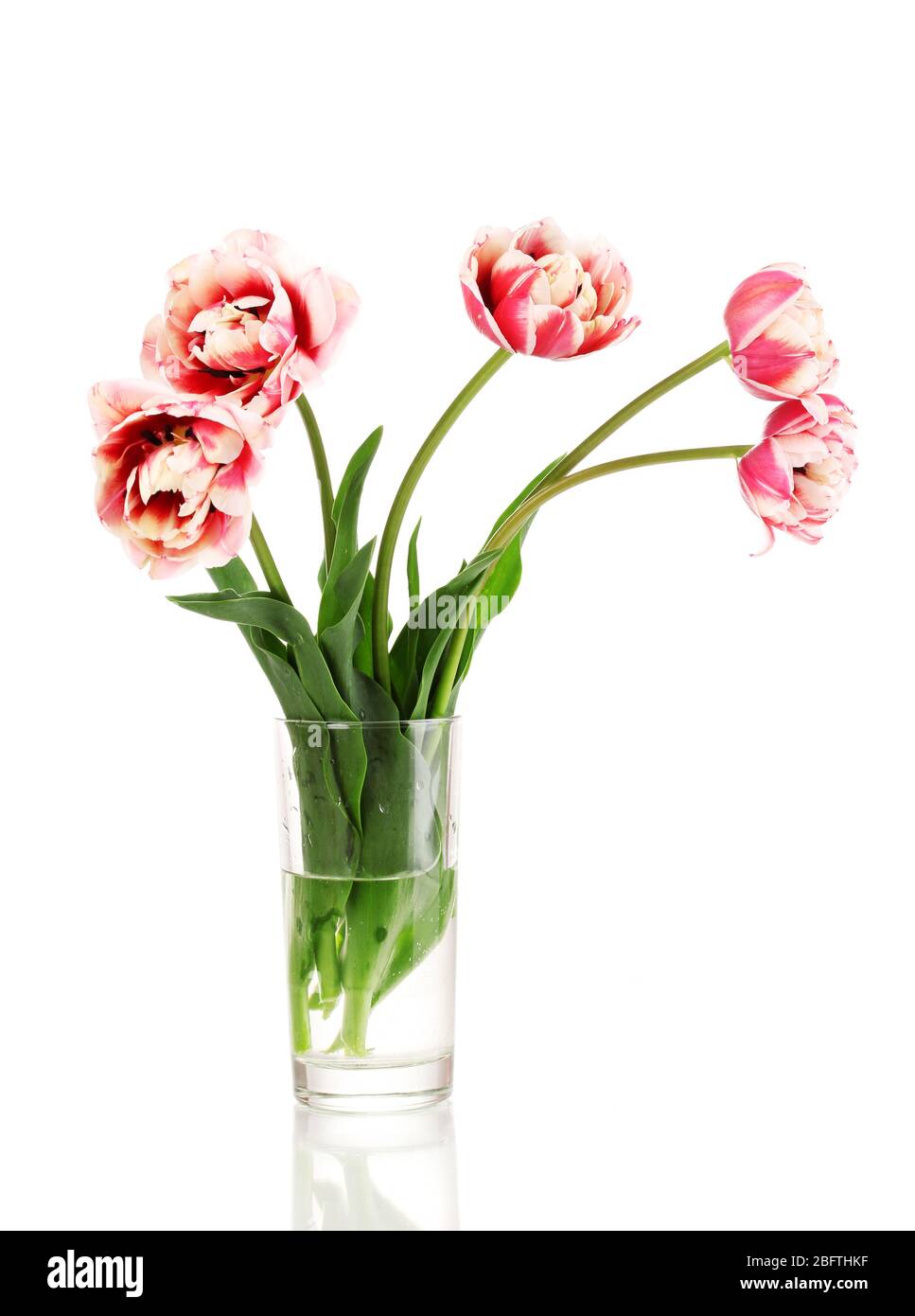 Beautiful tulips in vase isolated on white Stock Photo - Alamy