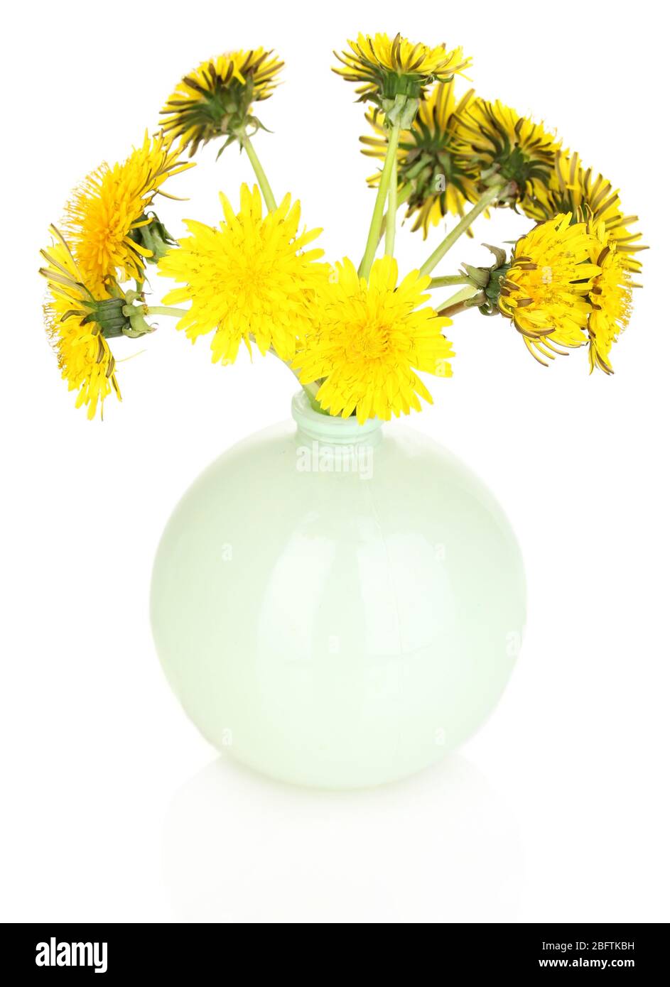 Dandelion flowers in vase isolated on white Stock Photo - Alamy