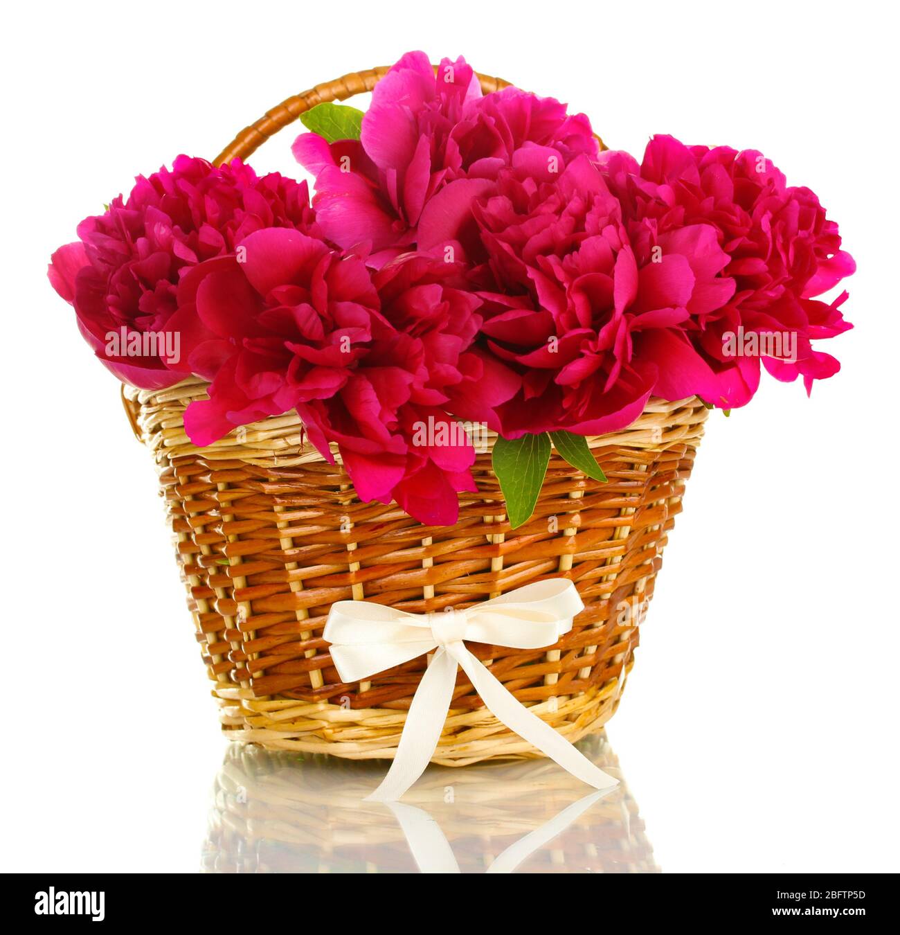 beautiful pink peonies in basket with bow isolated on white Stock Photo ...
