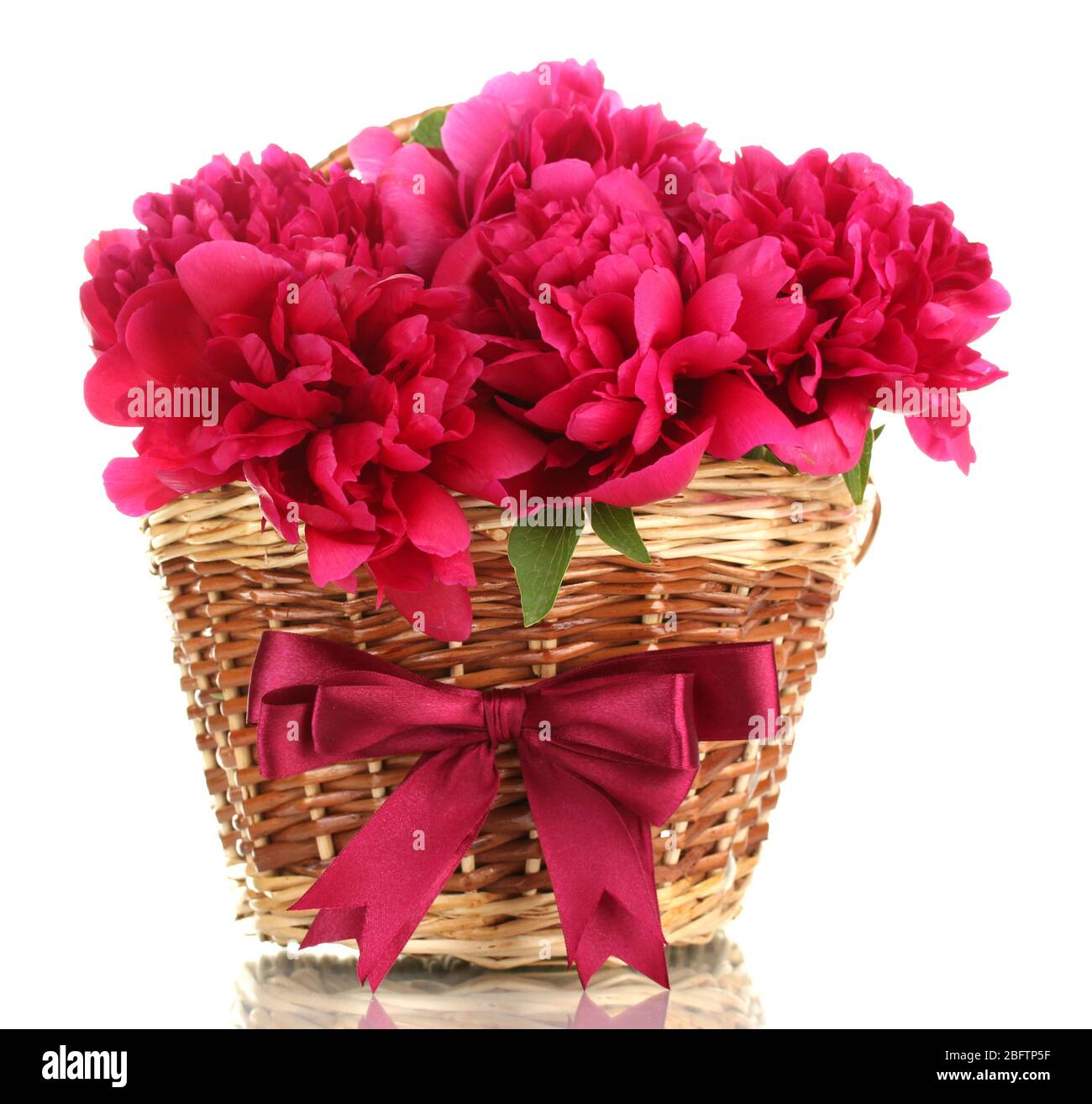 beautiful pink peonies in basket with bow isolated on white Stock Photo ...