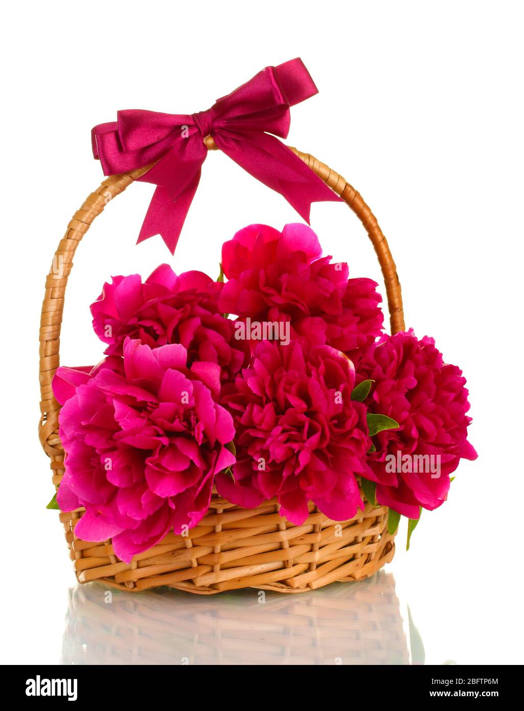 beautiful pink peonies in basket with bow isolated on white Stock Photo ...