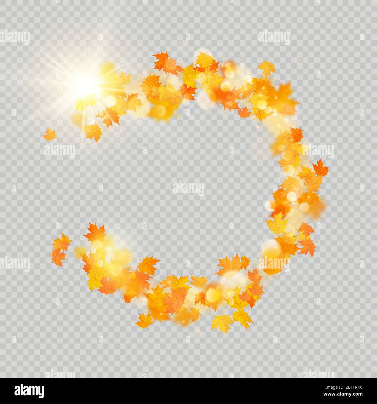 Fall maple leaves frame with delicate sun for decoration. Autumn leaves ...