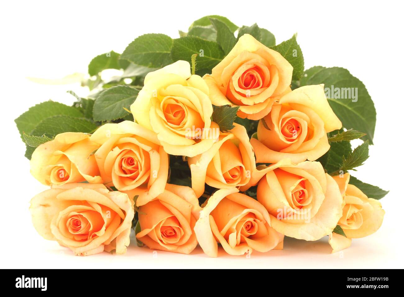 beautiful bouquet of roses isolated on white Stock Photo - Alamy