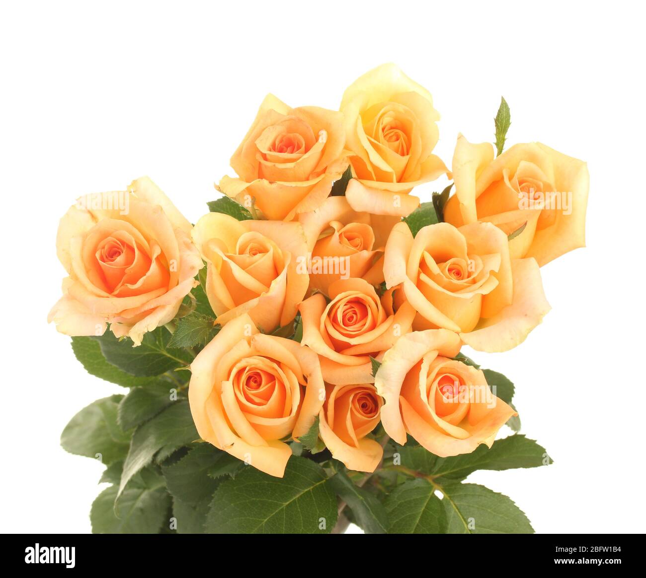 beautiful bouquet of roses isolated on white Stock Photo - Alamy