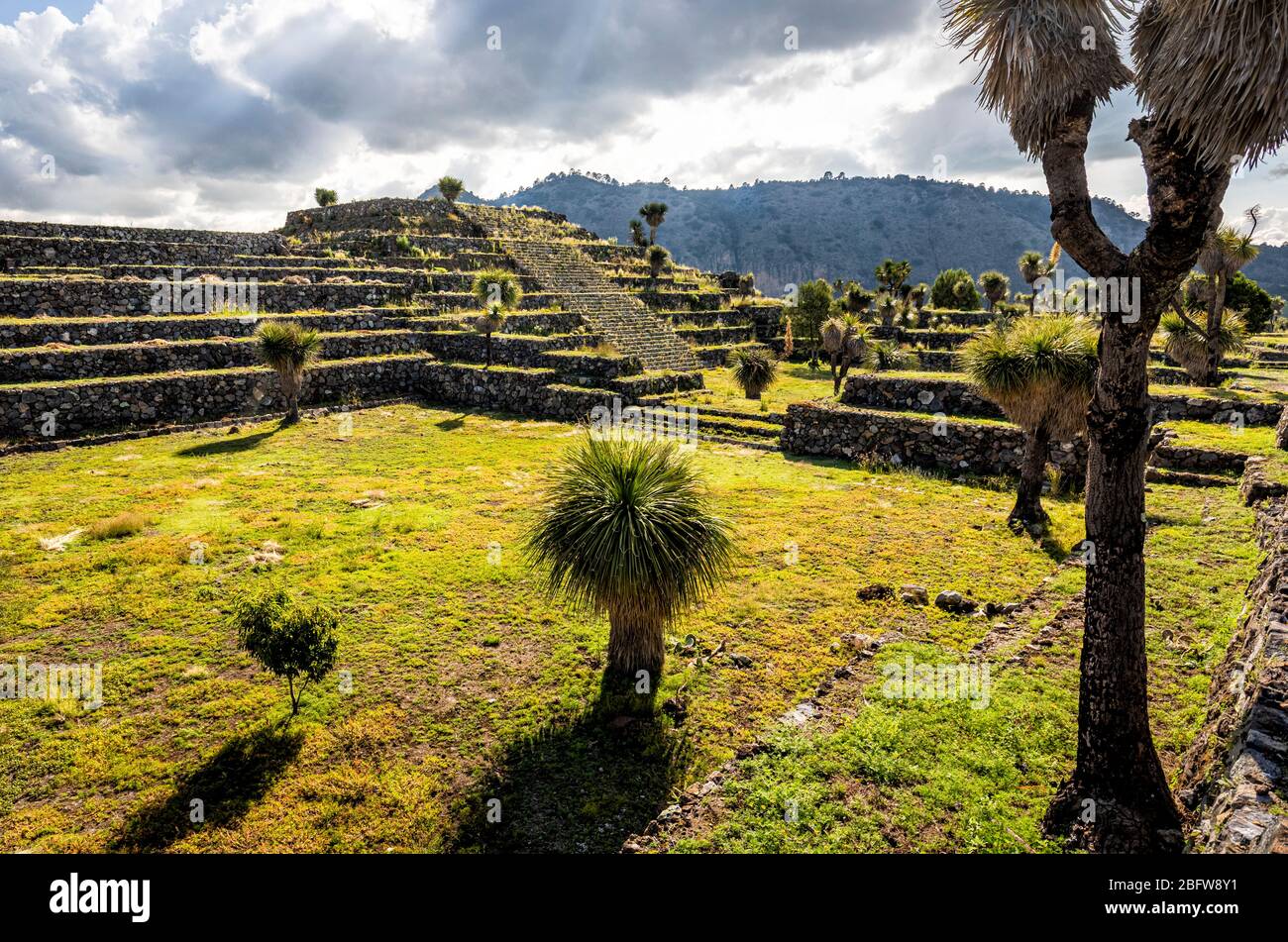 Pyramid and yucca cactus on the west plaza of the Cantona Ruins in Puebla, Mexico. Stock Photo
