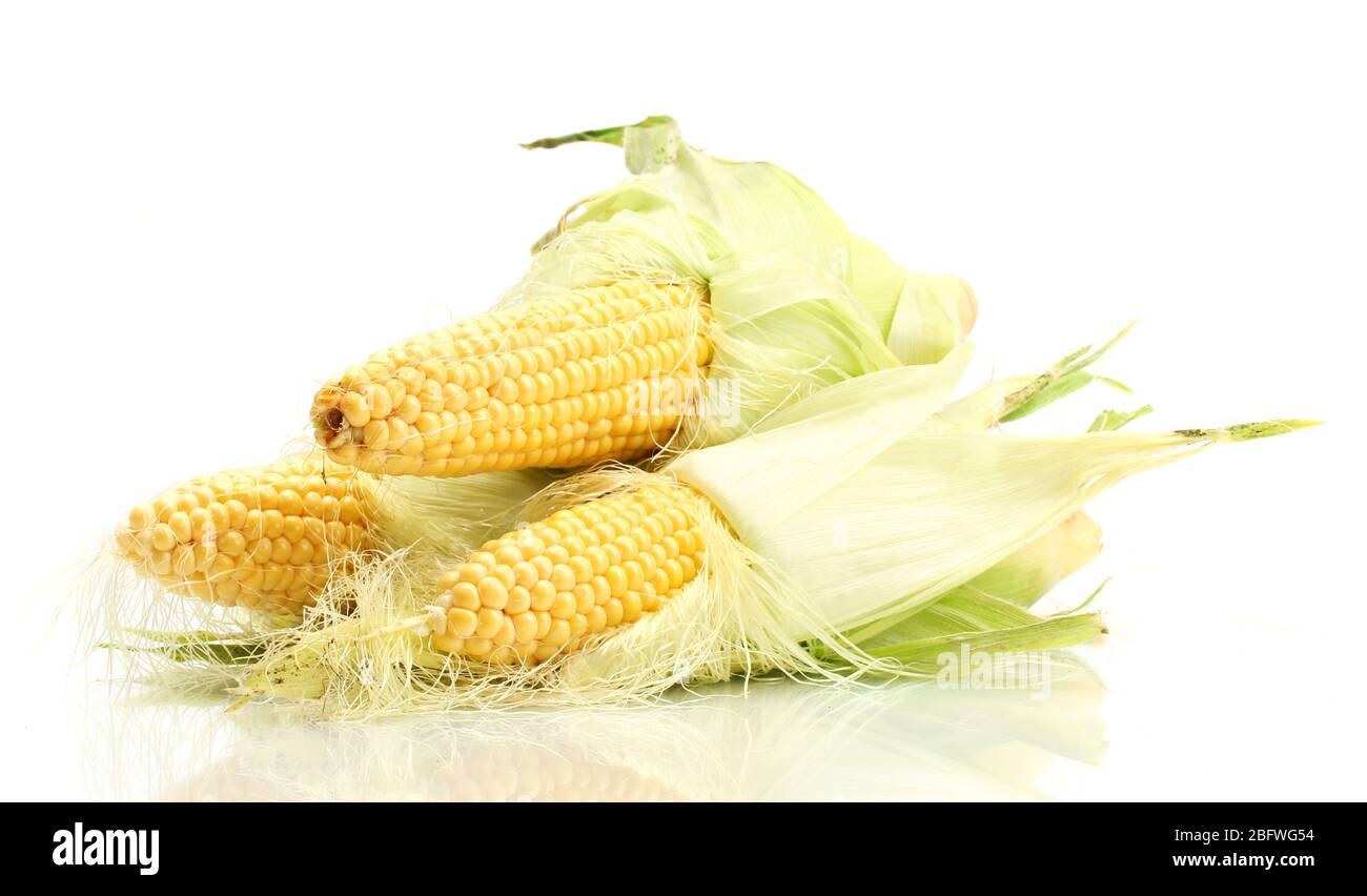 fresh corn isolated on white Stock Photo - Alamy