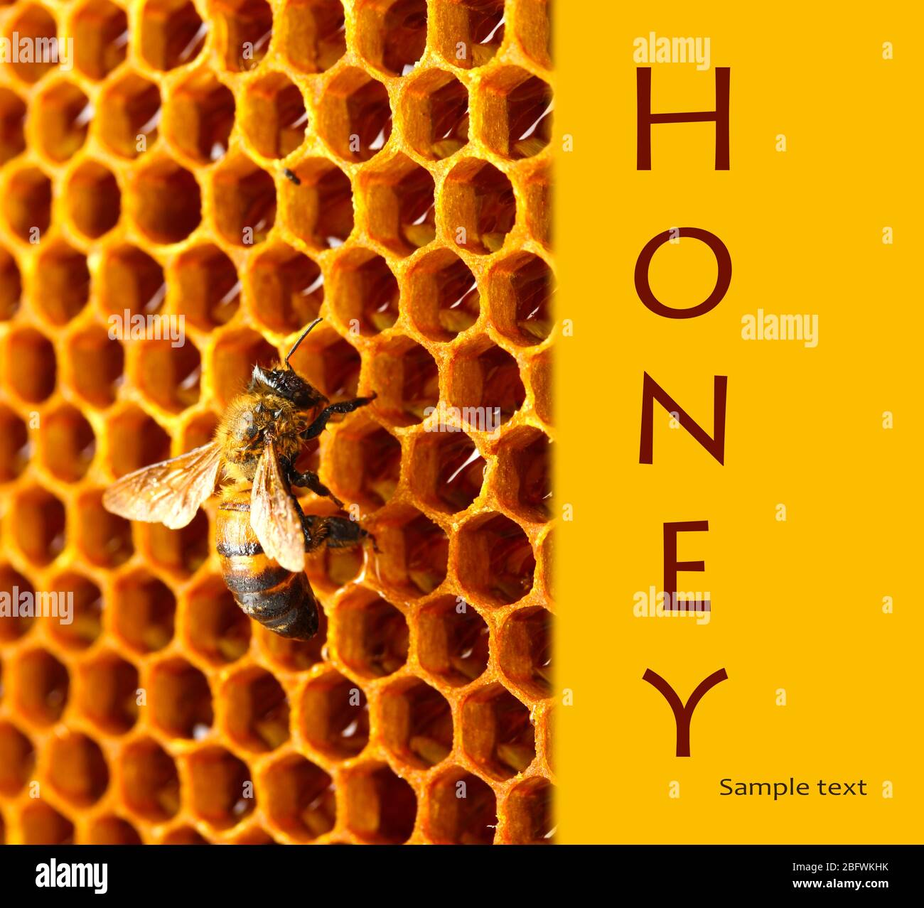 Honeycomb Honey Bee Close Up High Resolution Stock Photography and ...