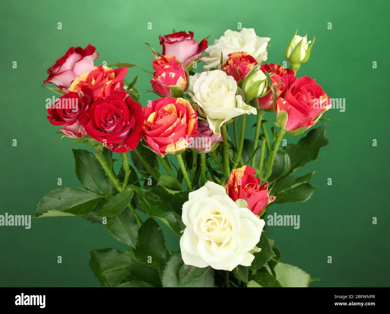 Bouquet of beautiful roses on green background close-up Stock Photo - Alamy
