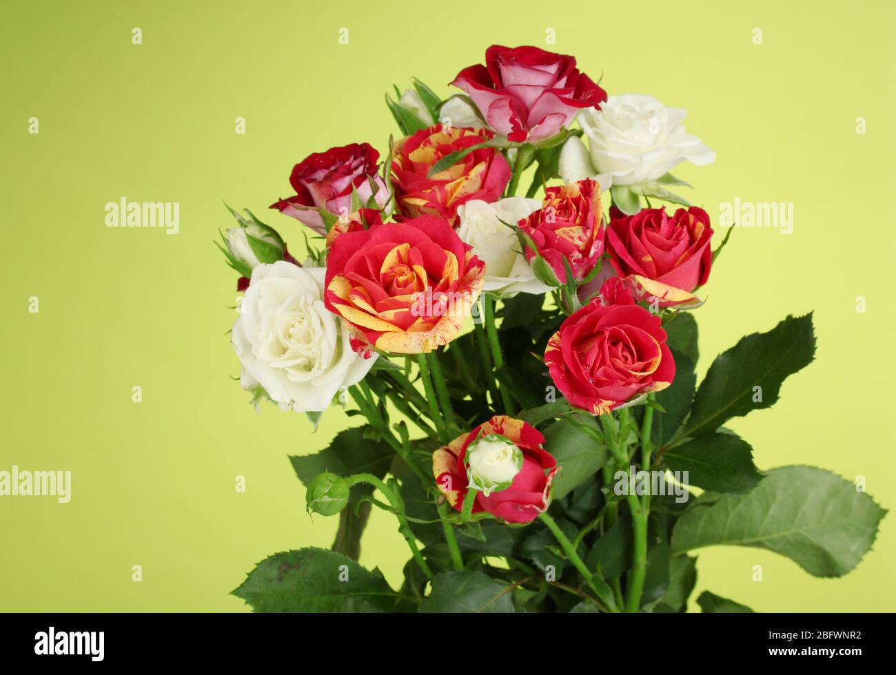 Bouquet of beautiful roses on green background close-up Stock Photo - Alamy