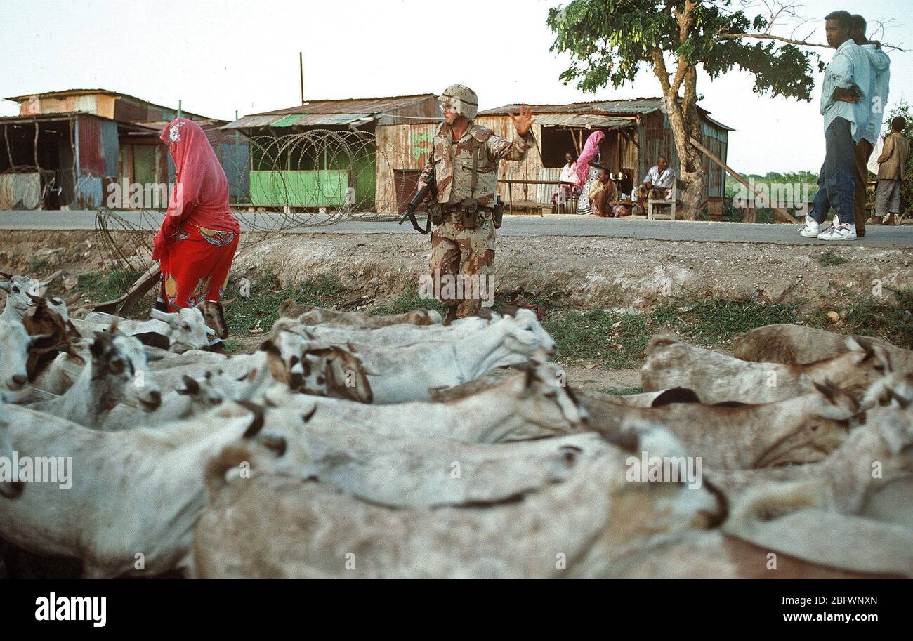 1993 - A Marine waves a Somali shepard through a checkpoint during the multinational relief effort Operation Restore Hope. Stock Photo