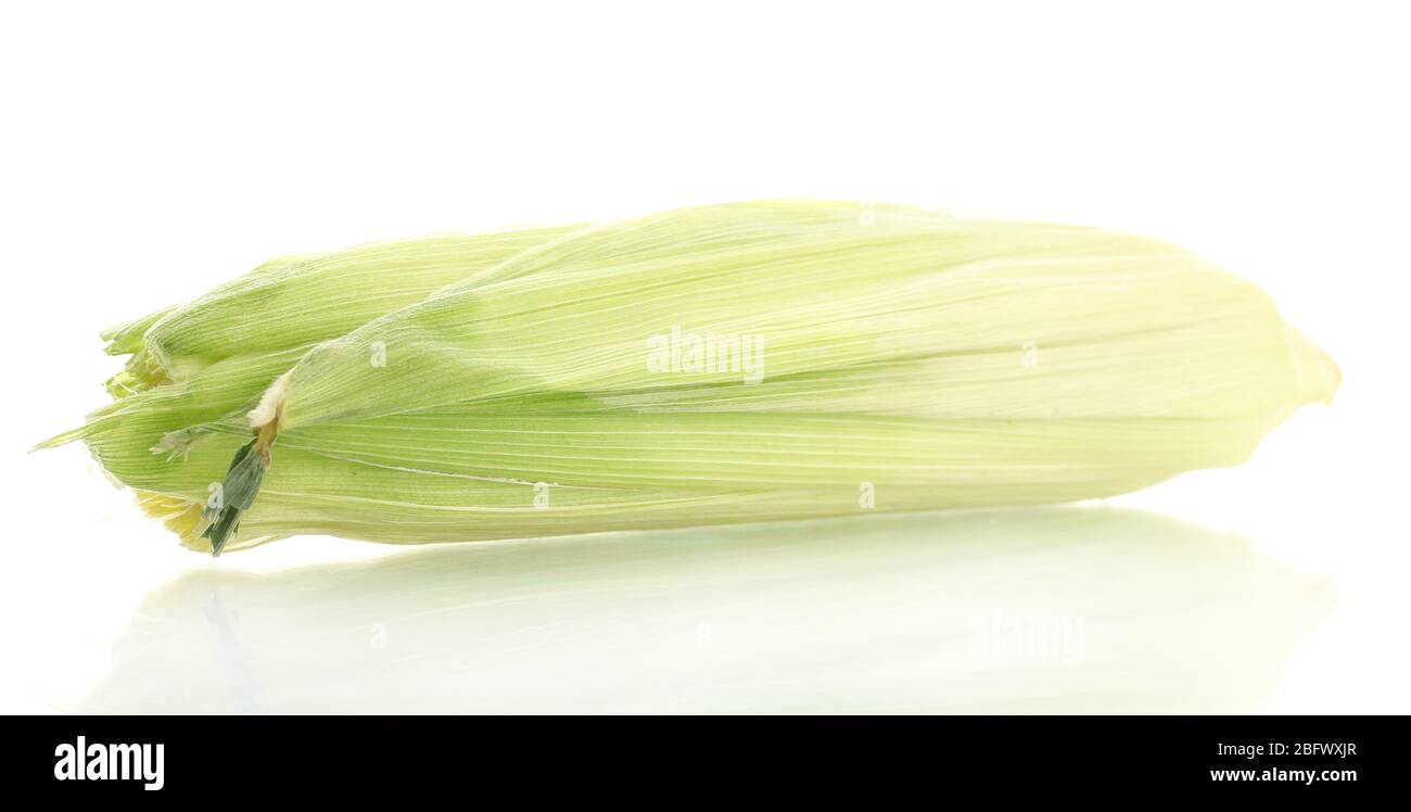 fresh corn, isolated on white Stock Photo - Alamy