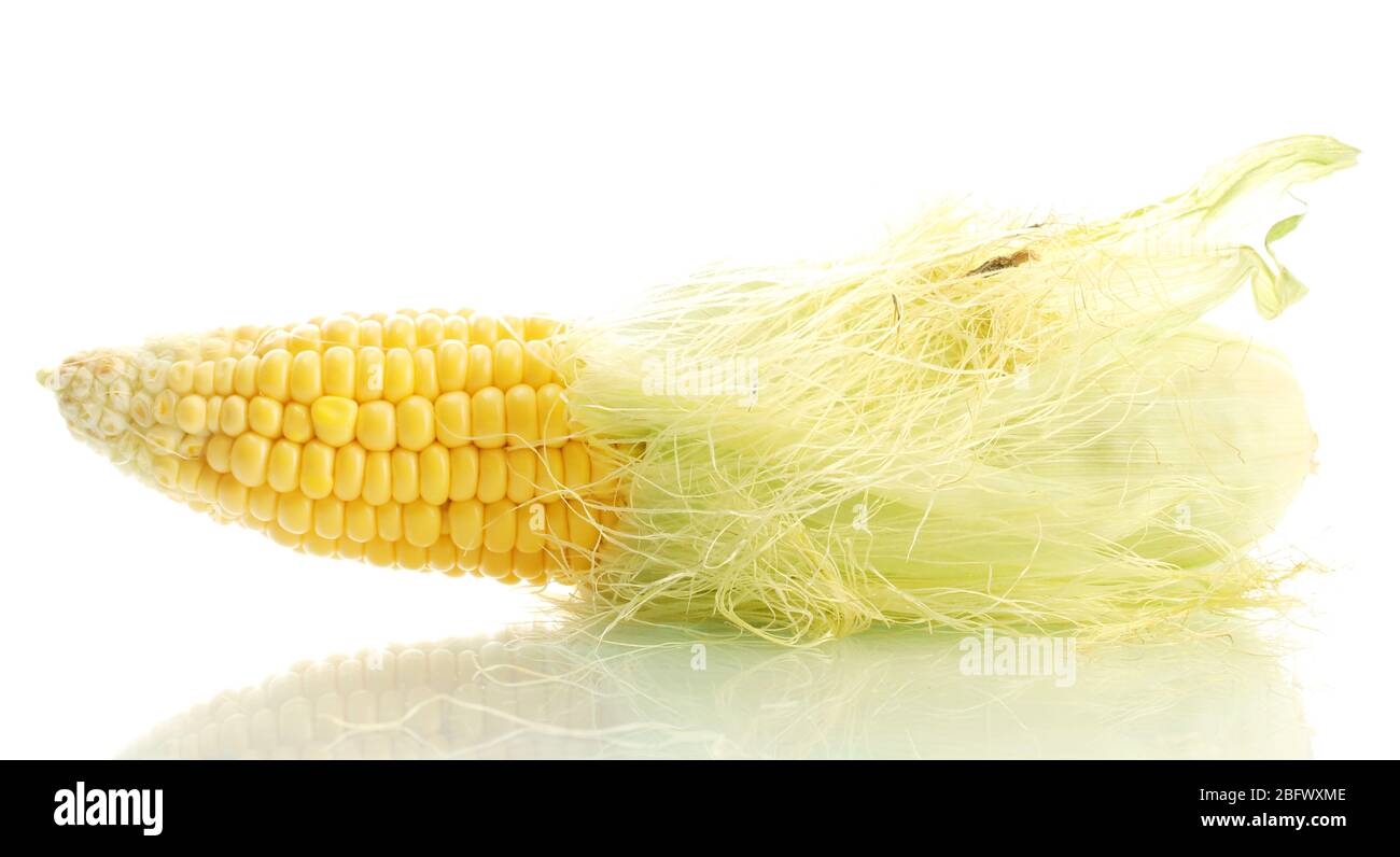 fresh corn, isolated on white Stock Photo - Alamy