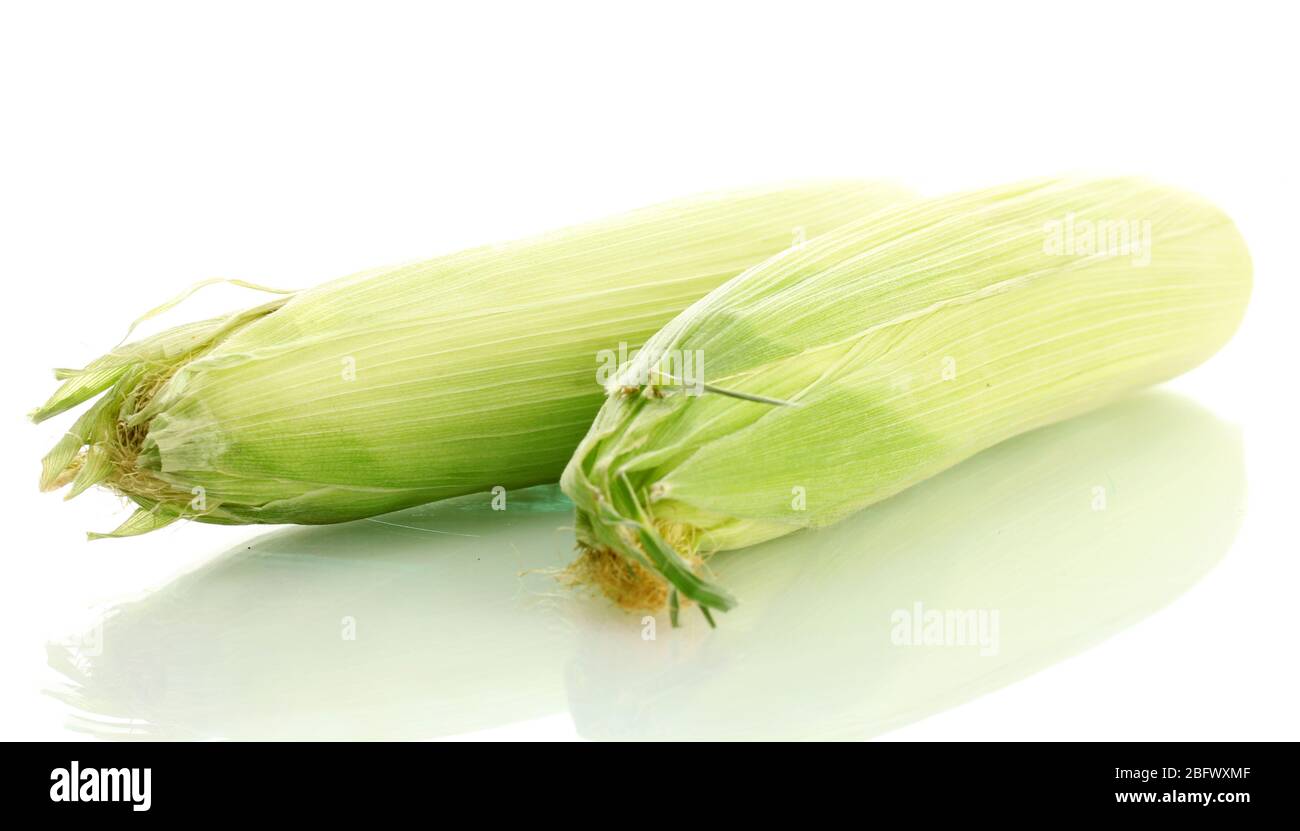 fresh corn, isolated on white Stock Photo - Alamy