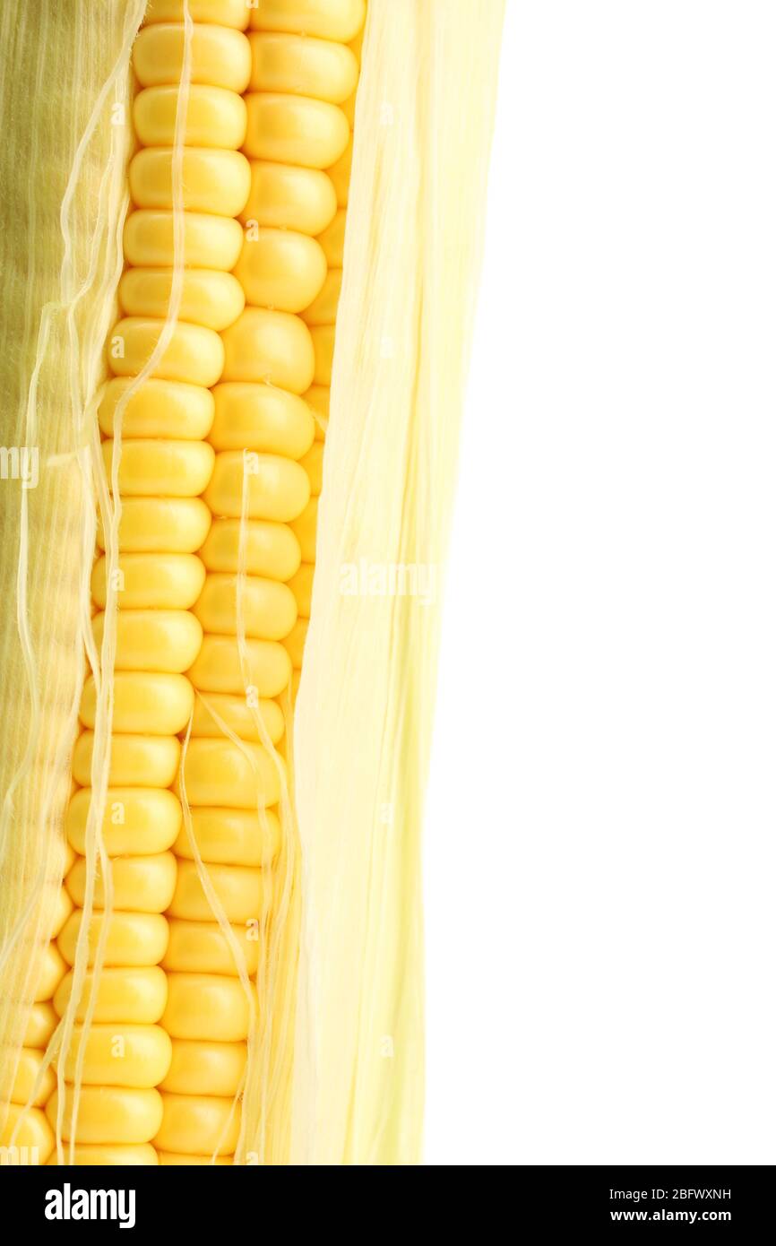 fresh corn, isolated on white Stock Photo - Alamy