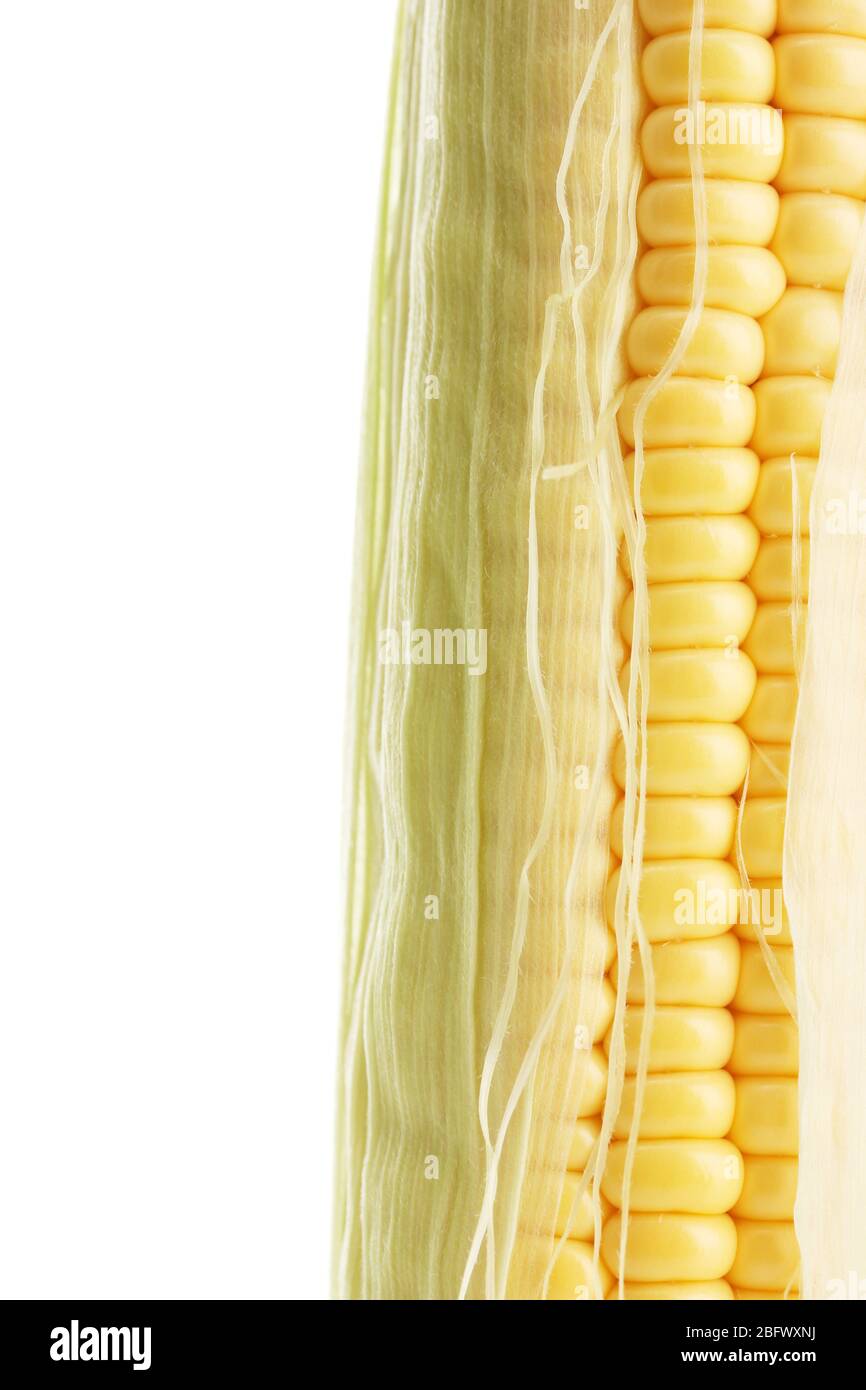 fresh corn, isolated on white Stock Photo - Alamy