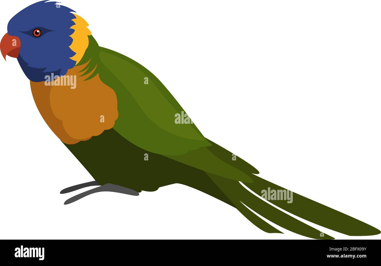 Coconut lorikeet, illustration, vector on white background Stock Vector