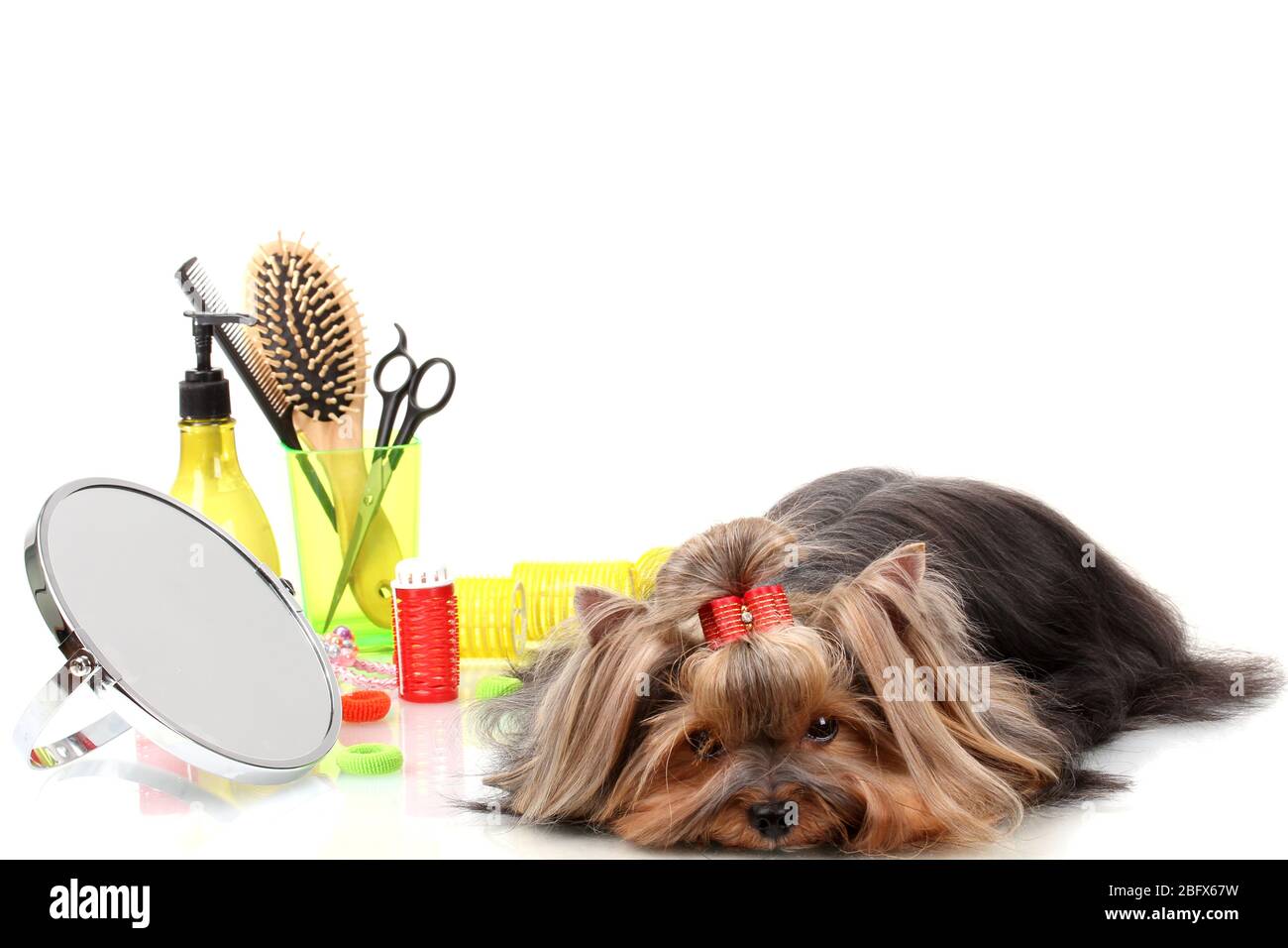 pet grooming items
