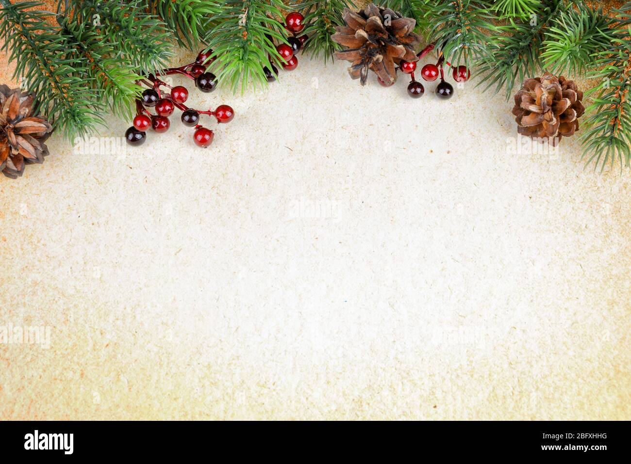 Christmas border with green fir branches, red holly berries and pine ...