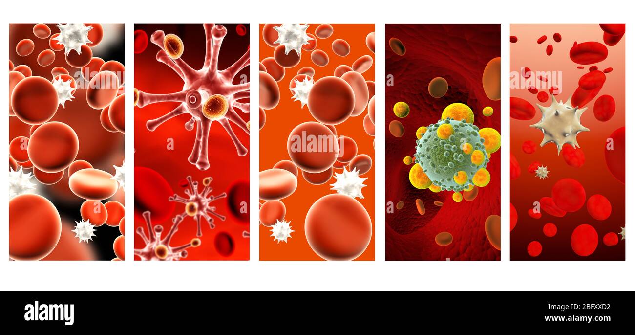 Collection of vertical or horizontal banners with pathogenic bacterias and viruses. Fast multiplication of bacteria. Infection and microbe. Phagocytes Stock Photo