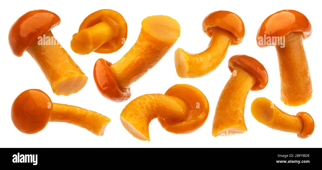 Pickled honey mushrooms isolated on white background Stock Photo - Alamy