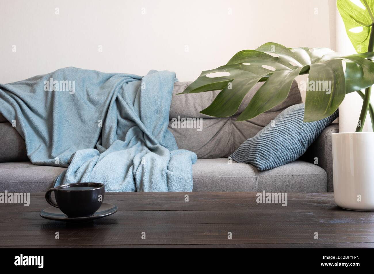 Cozy living room with sofa. Black tea cup on table decorated mostera. Scandinavian interior. Stay at home. Self isolation. COVID19. Stock Photo