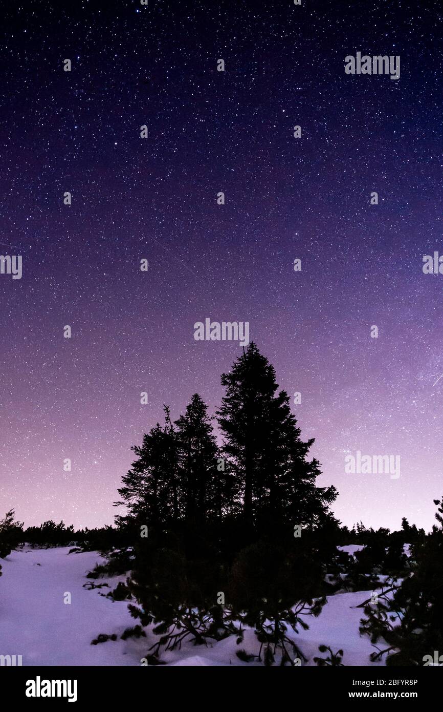 night landscape wtih star sky Stock Photo - Alamy