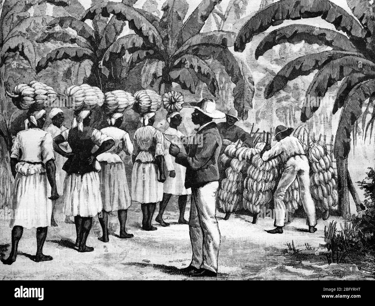 Engraving 1890 hires stock photography and images Alamy