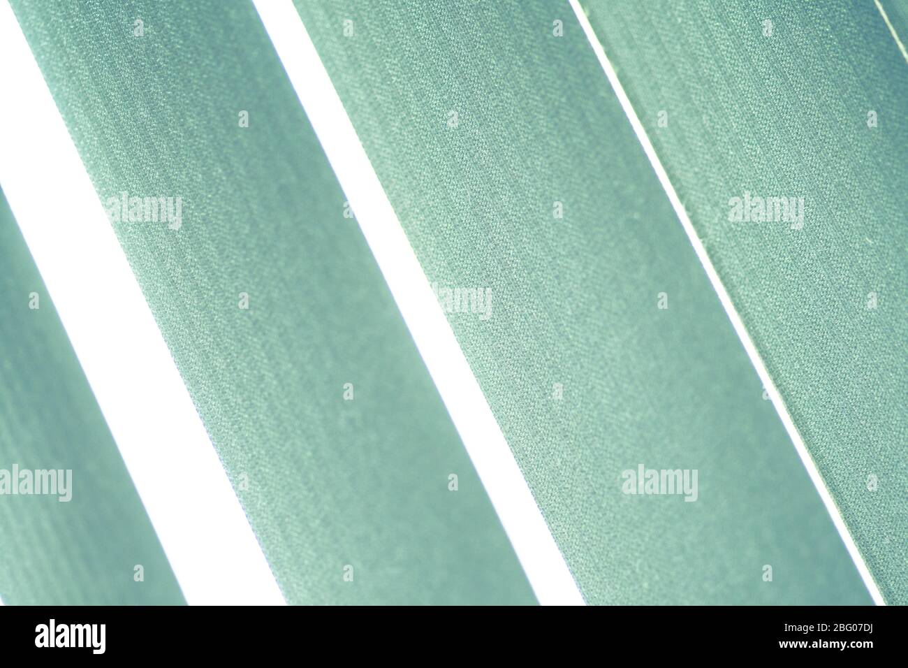 Abstract background in the form of vertical strpies Stock Photo