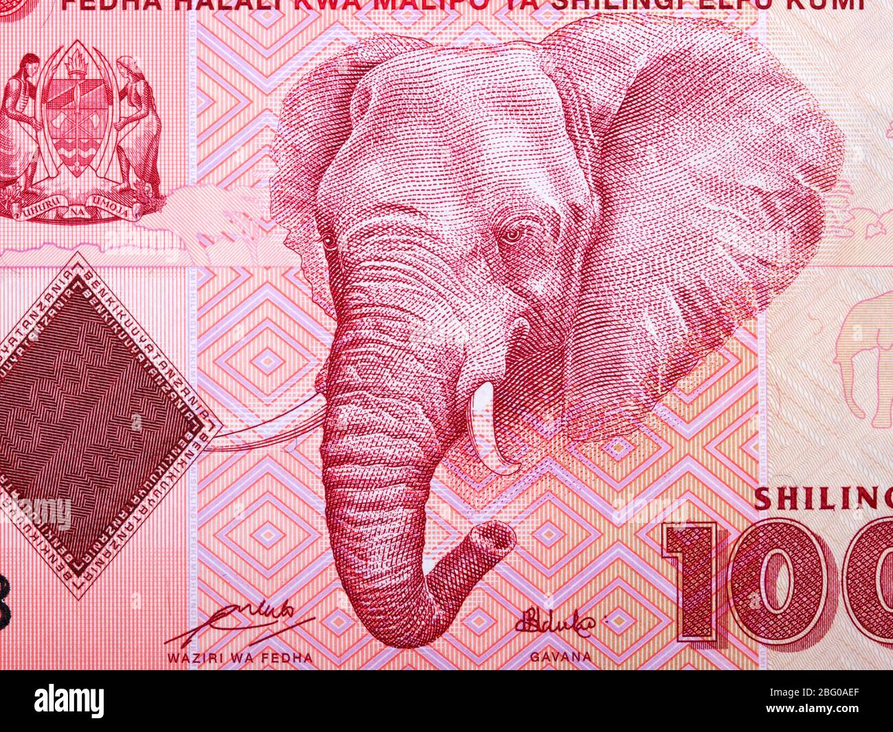 Elephant a portrait from Tanzanian money Stock Photo