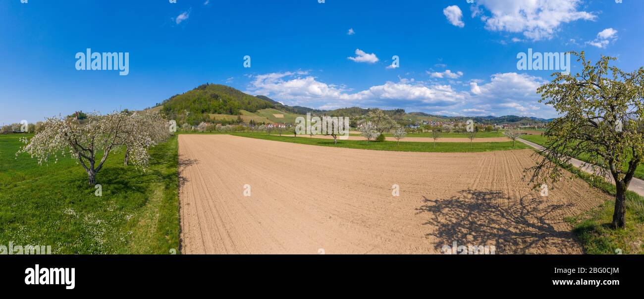 Drone aerial view, Ortenberg Castle in spring, Ortenberg, Black Forest, Baden-Wurttemberg, Germany, Europe Stock Photo