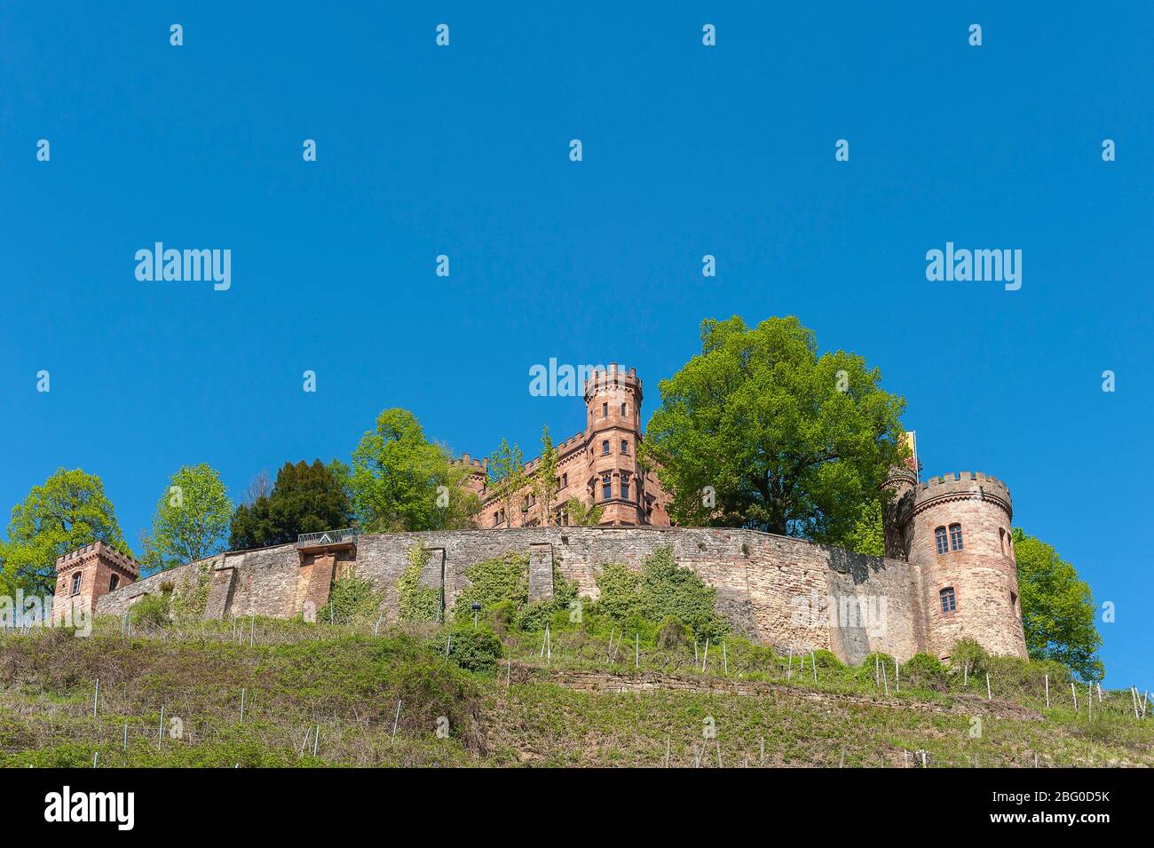 Ortenberg Castle, Ortenberg, Black Forest, Baden-Wurttemberg, Germany, Europe Stock Photo