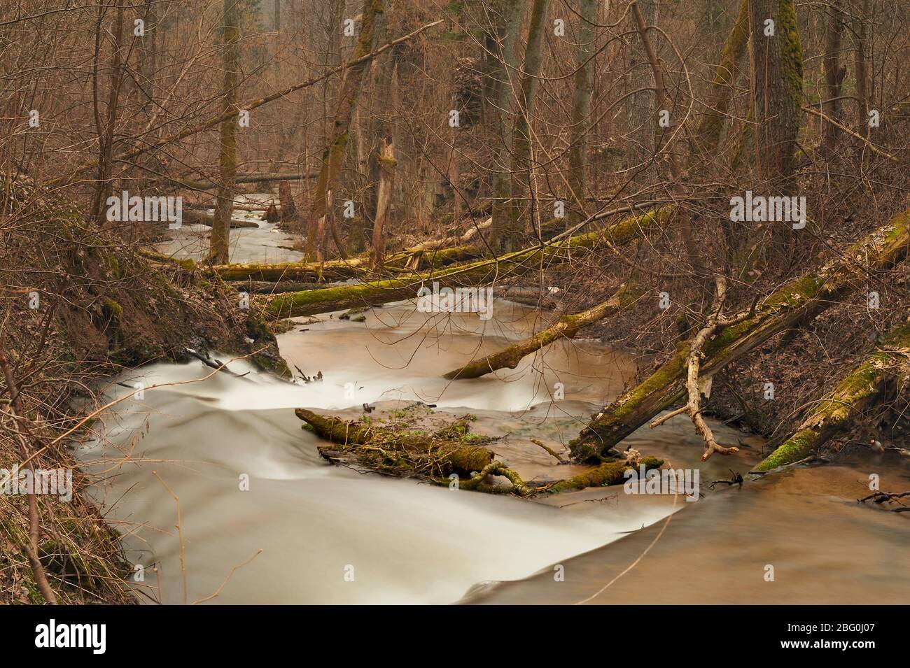 Stream flowing through mountain forest hi-res stock photography and ...