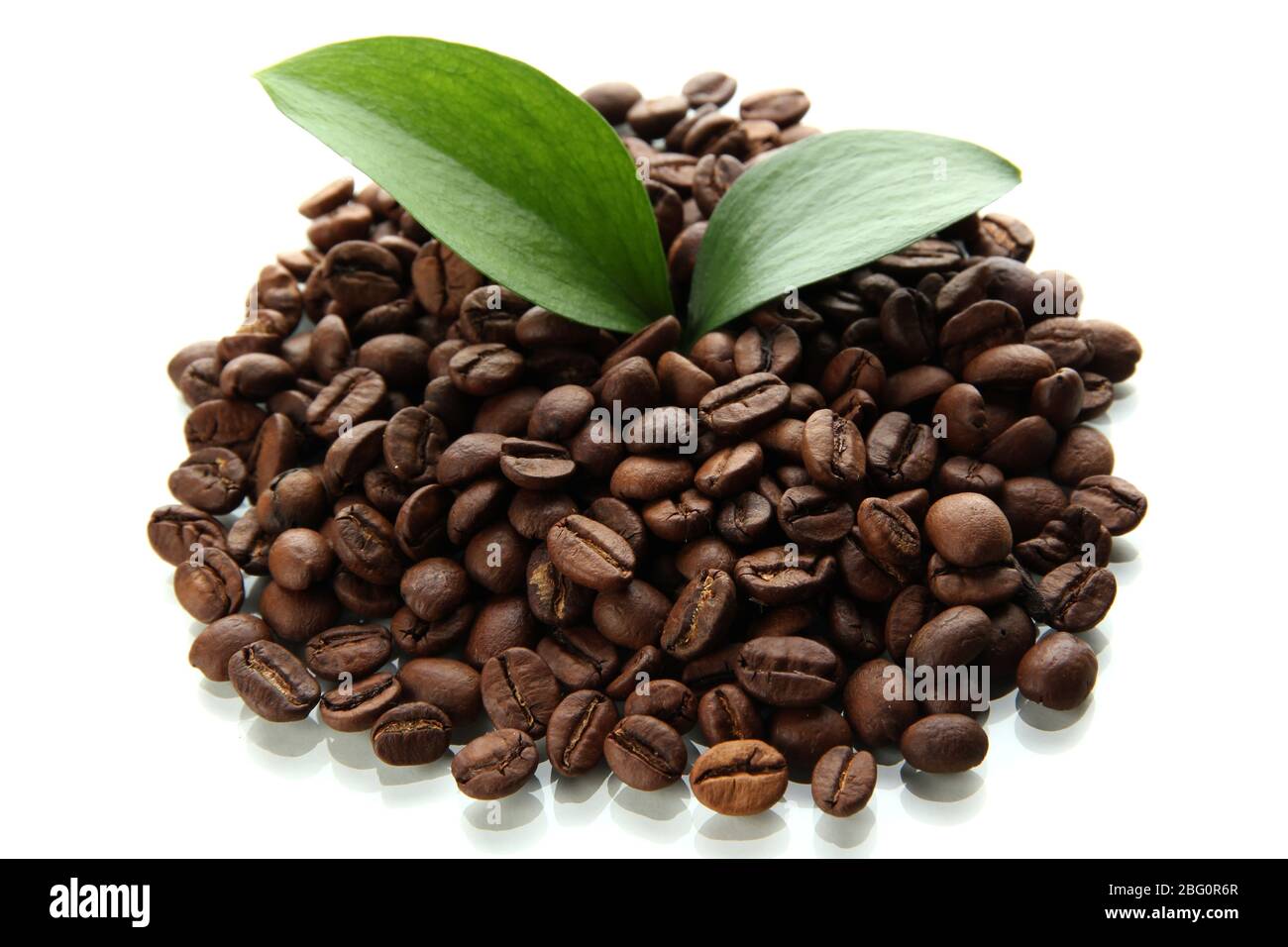 Coffee beans with leaves isolated on white Stock Photo - Alamy