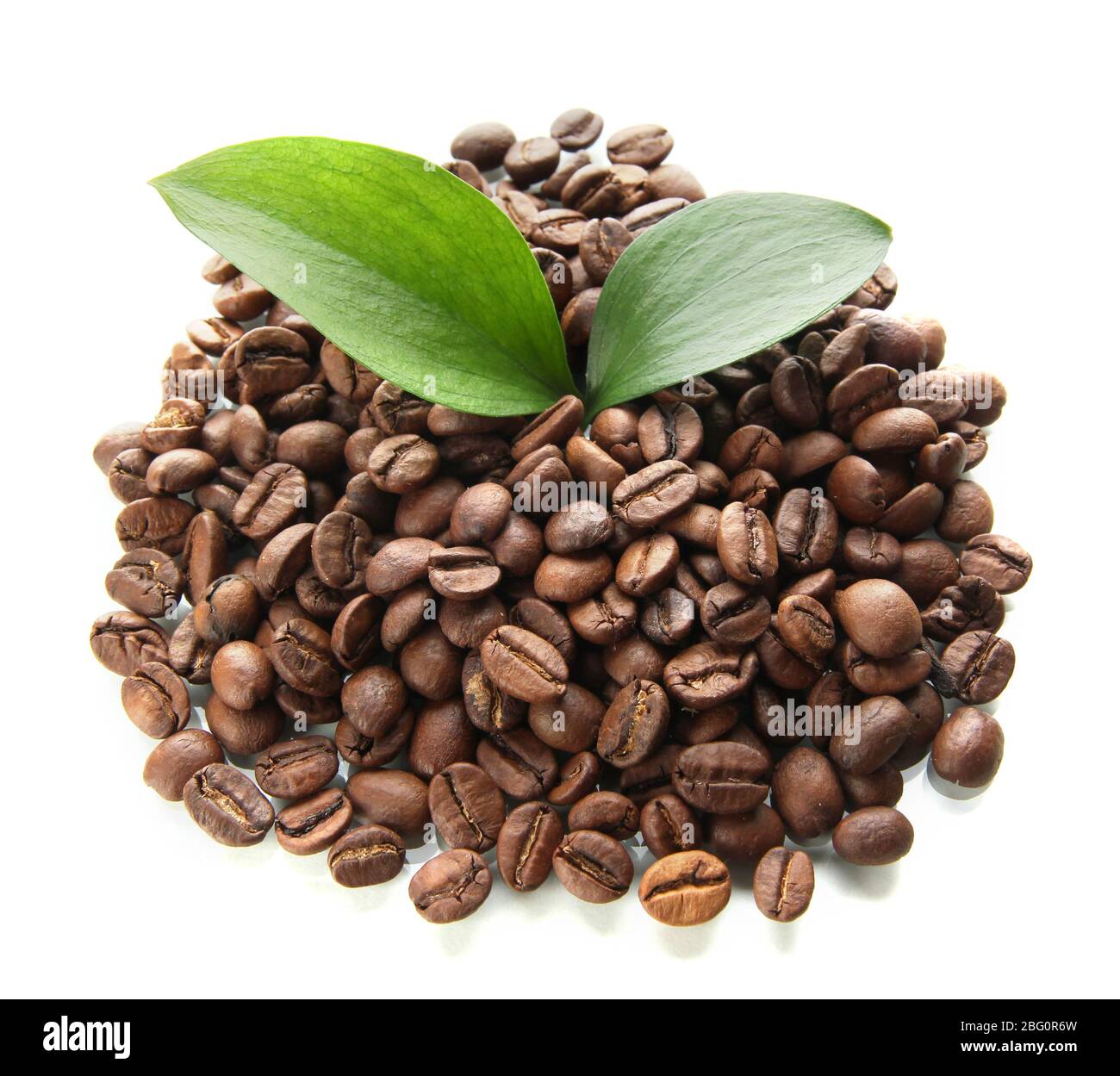 Coffee beans with leaves isolated on white Stock Photo