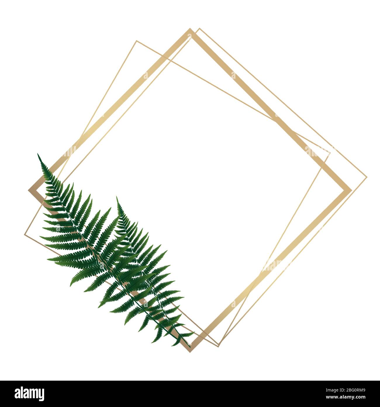 Fern Frame Graphics Fern Leaf Background with Golden Frame Vector Illustration EPS10 Stock ...
